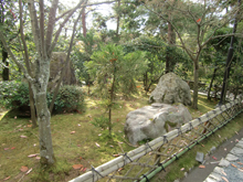 龍安寺庭園