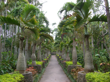 東南植物園